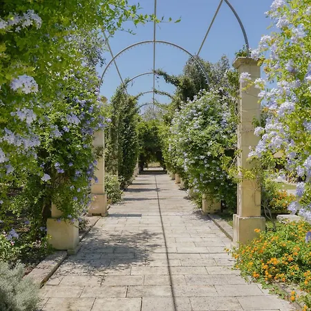 Masseria San Biagio 梅伦杜尼奥