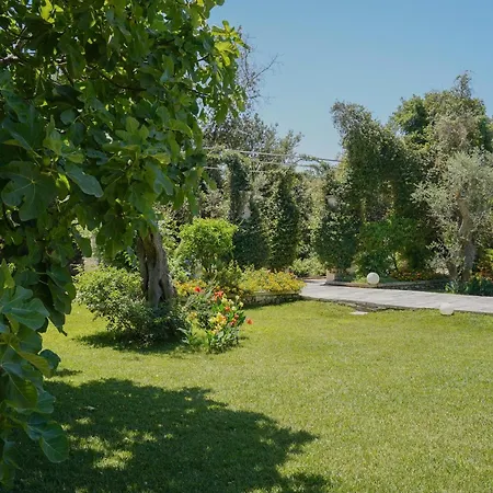 Masseria San Biagio 农家乐 梅伦杜尼奥